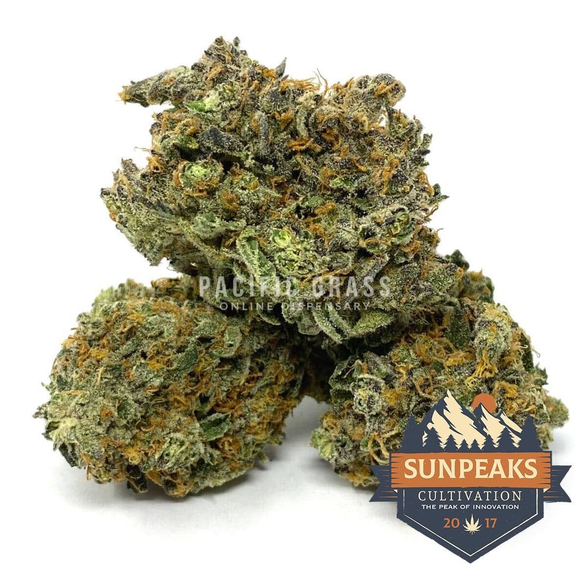 Sun Peaks Cultivation - Grease Monkey - AAAA
