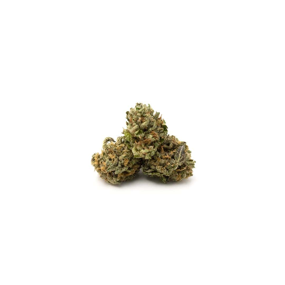 Alien Cookies - Popcorn