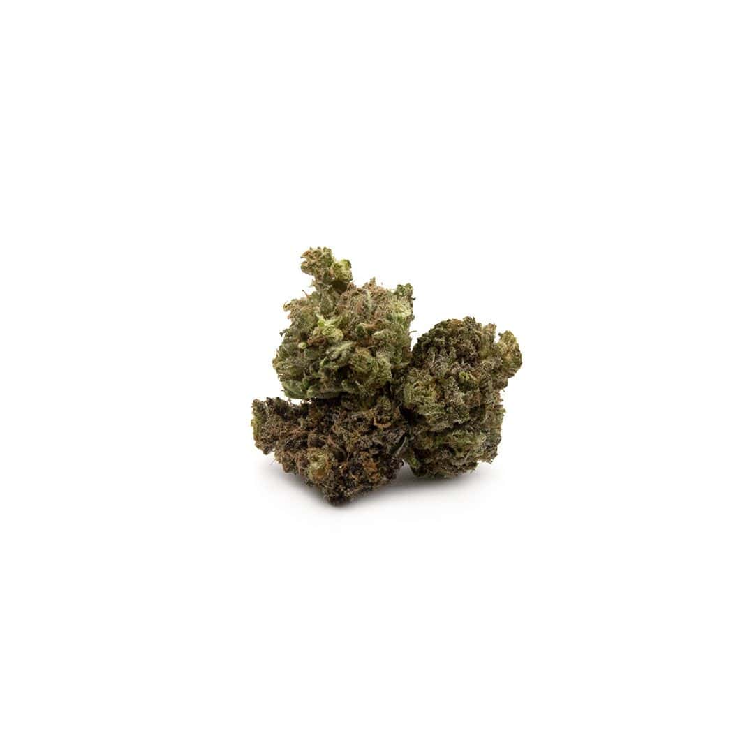 Purple Bud - Popcorn