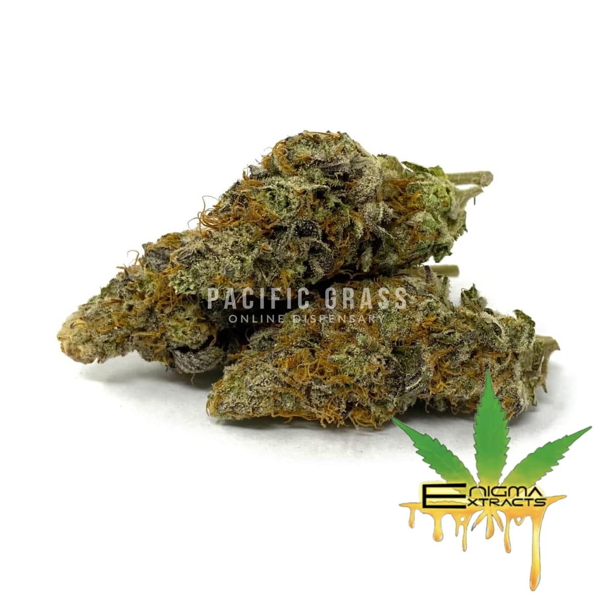 Enigma Extracts - LSO Pink Rockstar x Slurricane - AAAA