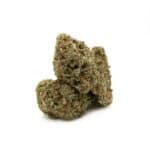 Sherbet Glue