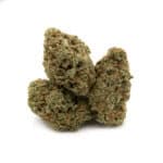 Sherbet Glue