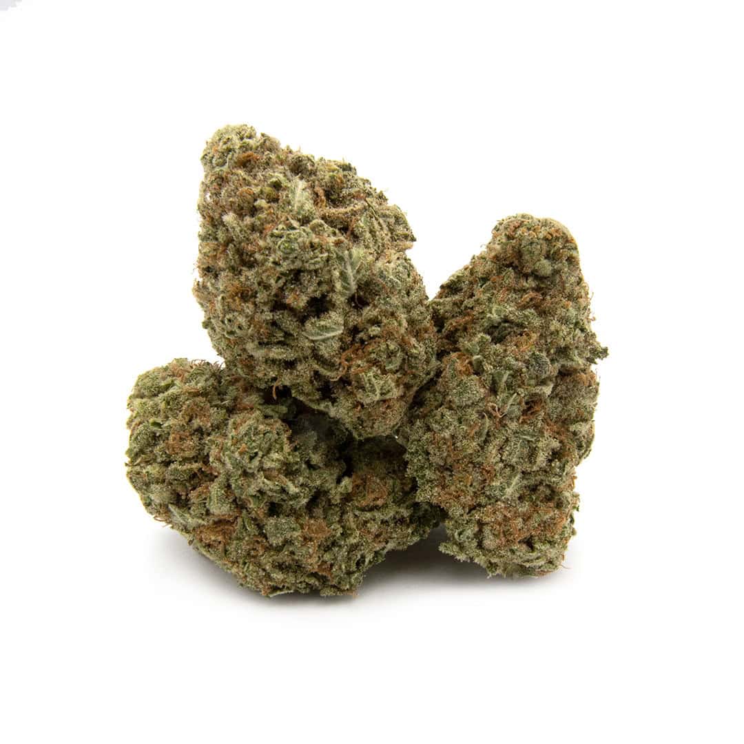 Sherbet Glue