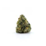 Sun Peaks Cultivation - Mochalope Smalls