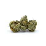 Sun Peaks Cultivation - Mochalope Smalls