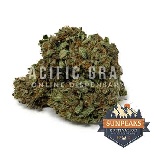 Sun Peaks Cultivation - Black Water