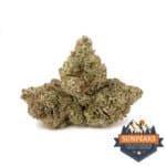 Sun Peaks Cultivation - Orange Snow Cone
