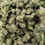 Sun Peaks Cultivation - Cherry Pie - Popcorn