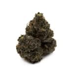 Sun Peaks Cultivation - White Truffle