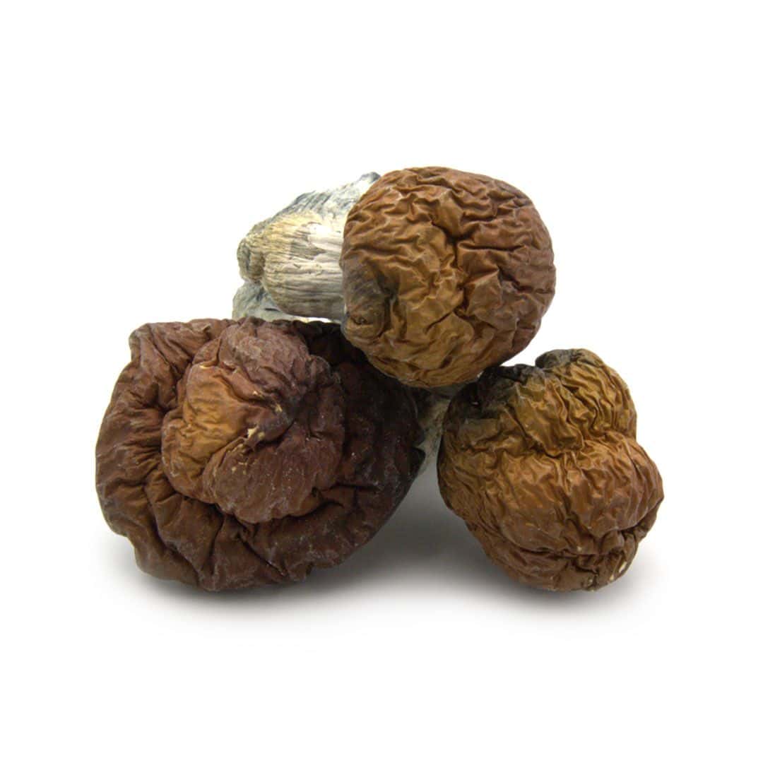 Texas Yellow Cap