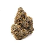 Enigma Extracts - Milk Bubbles