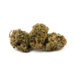 Northern Lights