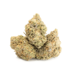 Apple Fritter
