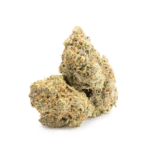 Apple Fritter