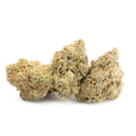 Apple Fritter