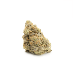 Apple Fritter