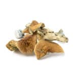 Golden Teacher