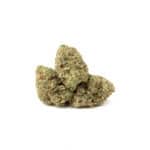 Sensi Star