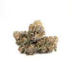 Animal Cookies