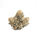 Animal Cookies