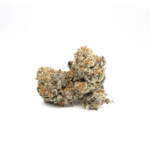 Animal Cookies