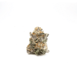 Animal Cookies