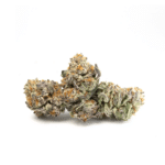 Animal Cookies