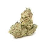 Purple Kush