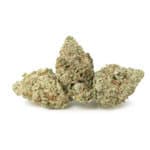 Purple Kush