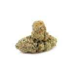 White Widow