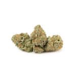 White Widow