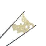 African Shatter
