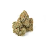 Gelato