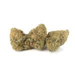 Gelato