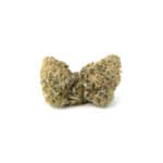 Gelato