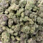Sun Peaks Cultivation - Gelatti - Popcorn