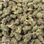 Sun Peaks Cultivation - Sherb Cream Pie - Popcorn
