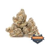 Sun Peaks Cultivation - Pure Michigan
