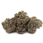 Sun Peaks Cultivation - Gelato