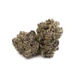 Sun Peaks Cultivation - Gelato