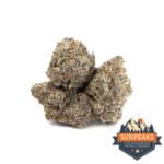 Sun Peaks Cultivation -  Grape Galena