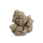 Sun Peaks Cultivation -  Grape Galena