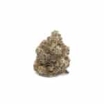 Sun Peaks Cultivation -  Grape Galena