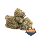 Sun Peaks Cultivation - King Sherbet