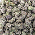 Sun Peaks Cultivation - Ice Cream - Popcorn