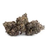 Sun Peaks Cultivation - Popscotti