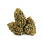 Green House – Citrus Haze