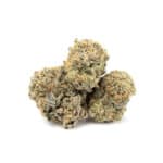 Purple Punch