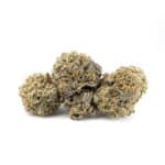Purple Punch