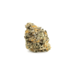 Cereal Milk